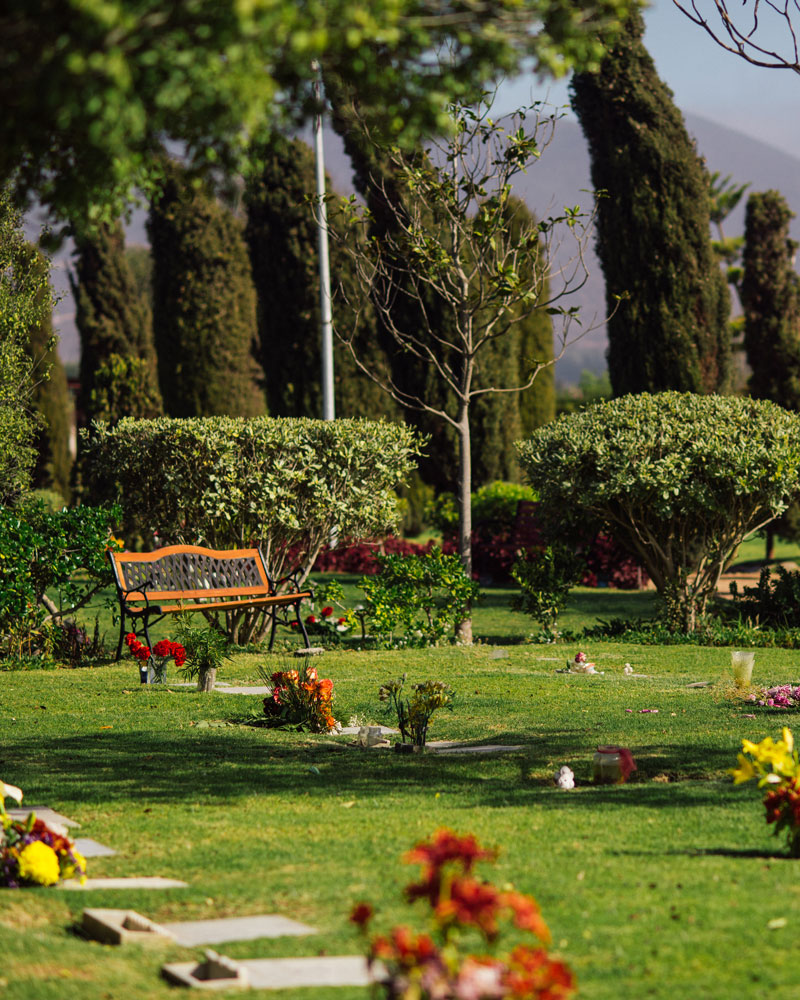 Parque La Foresta